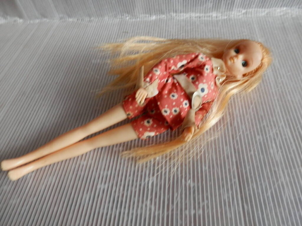 タカラトミー 着せかえ人形 レディリカ