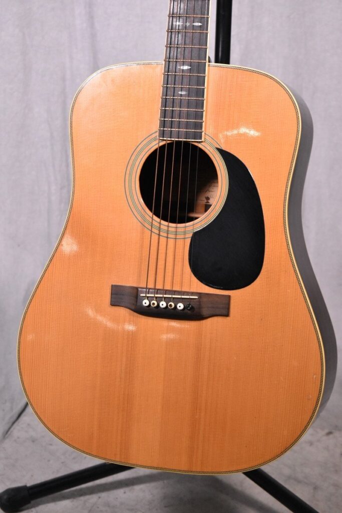 Cats Eyes アコースティックギター CE-1000