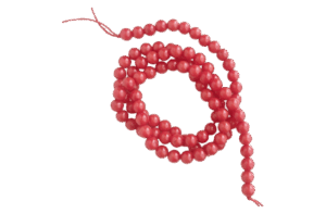 珊瑚・コーラル