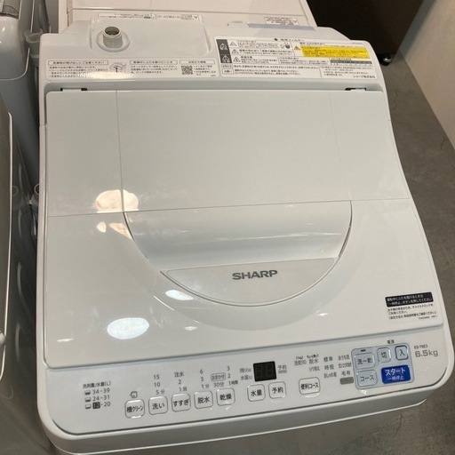 SHARP 2024年製 6.5kg 洗濯機 ES-T6E3-W 中古品販売