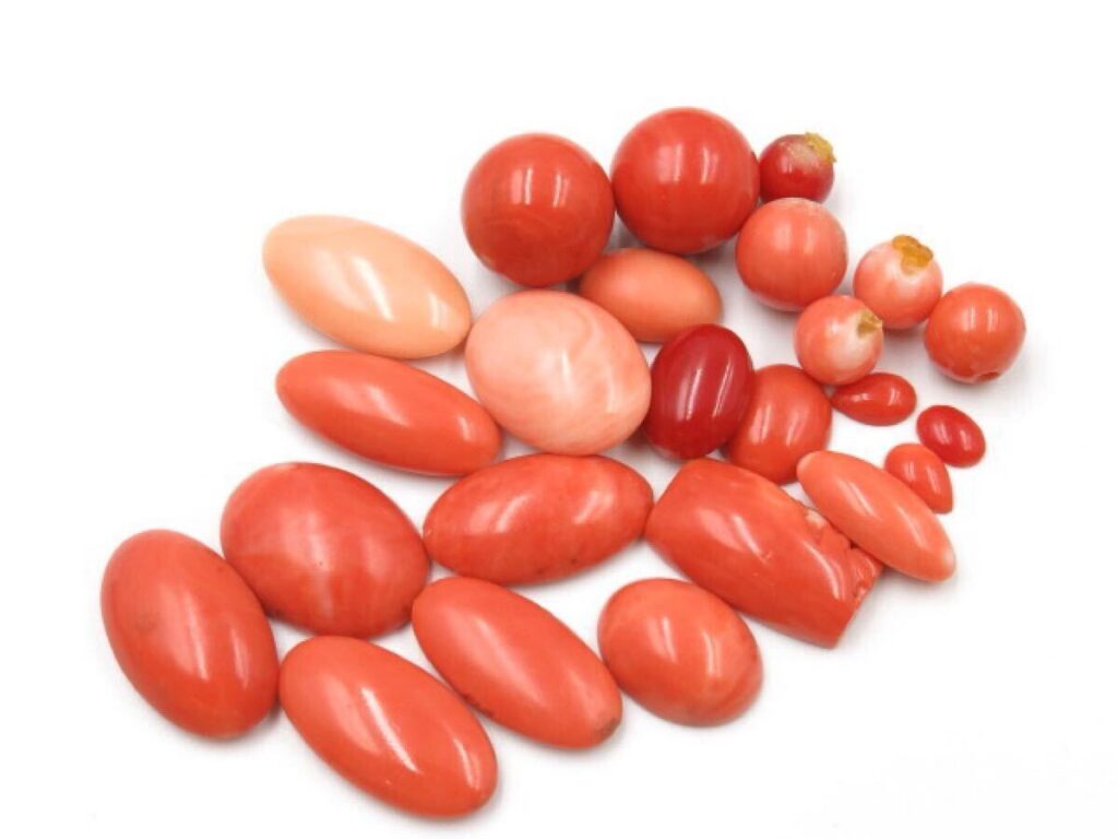 天然本珊瑚 ルース 182ct 36.4g ジュエリー素材