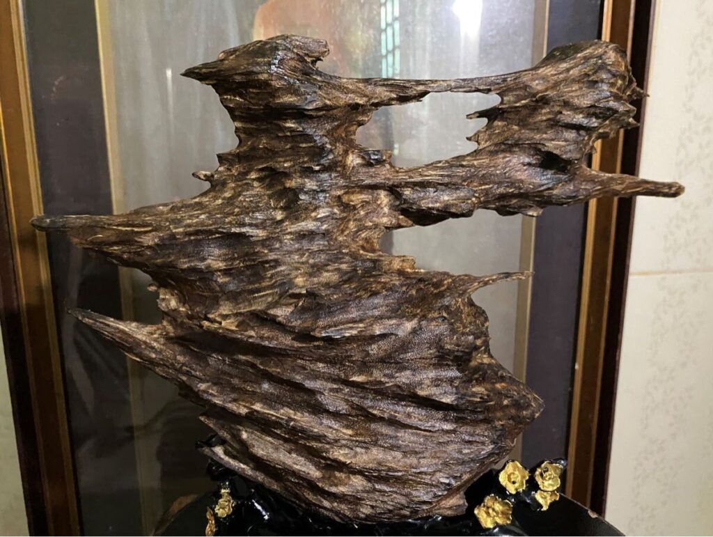 黒く光る☆ベトナム産沈香 良い香り！ ６３１ｇ 最高級！ 香木 希少品☆ 伽羅 シャム 香