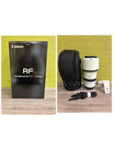 Canon RF100-500mm F4.5-7.1 L IS USM 超望遠 ズームレンズ