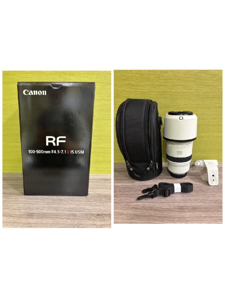 Canon RF100-500mm F4.5-7.1 L IS USM 超望遠 ズームレンズ