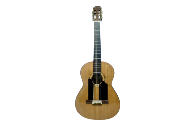 エボニー指板モデル