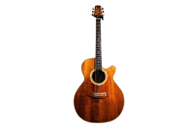 タカミネ（Takamine）