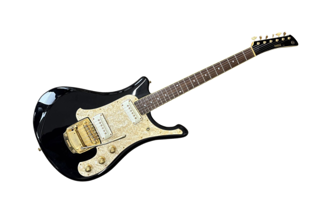 ヤマハ（YAMAHA SG _ SGV等）