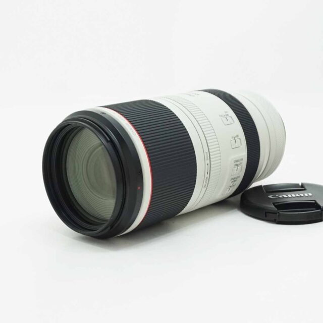 Canon RF100-500mm F4.5-7.1 L IS USM