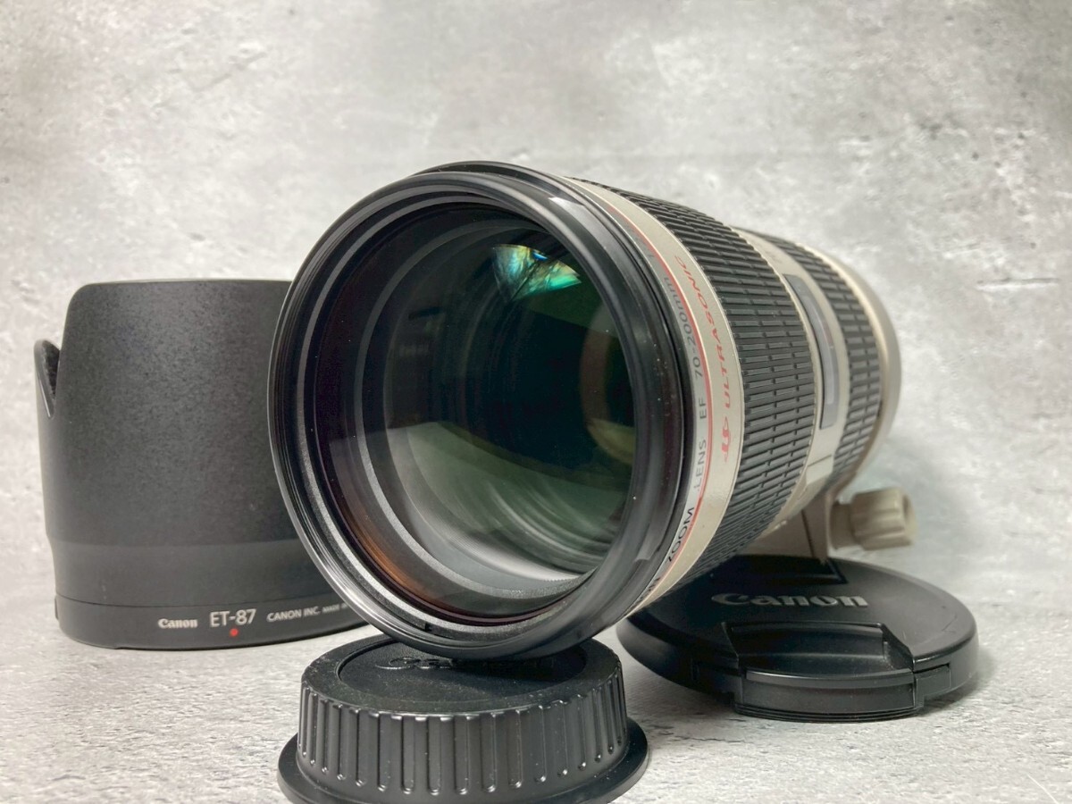 Canon EF 70-200mm F2.8 L IS II USM 望遠レンズ