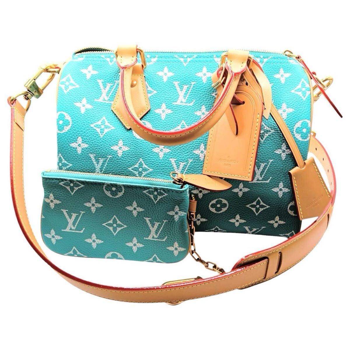 Louis Vuitton スピーディ バンドリエール ハンドバッグ