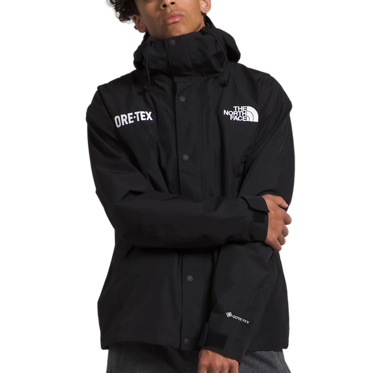 THE NORTH FACE GTX MOUNTAIN JACKET ノースフェイス ブラック L
