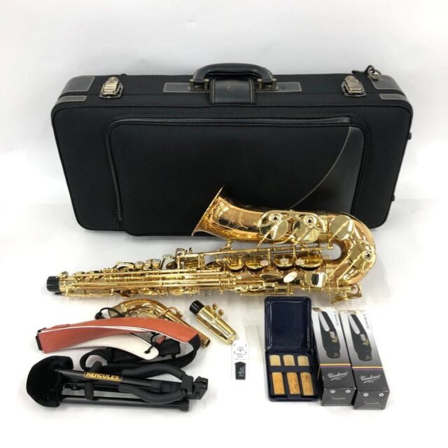 YANAGISAWA ヤナギサワ アルトサックス WO20