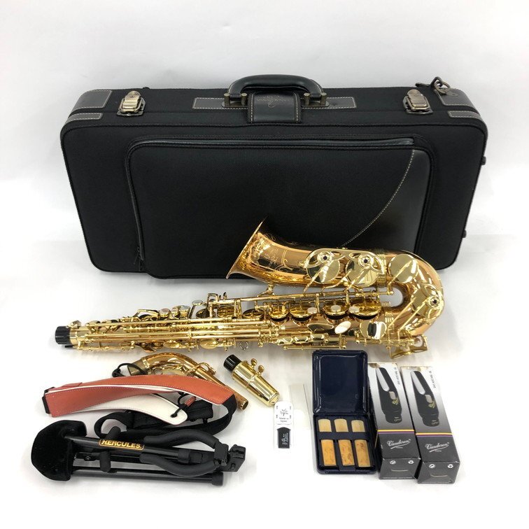 YANAGISAWA ヤナギサワ アルトサックス WO20