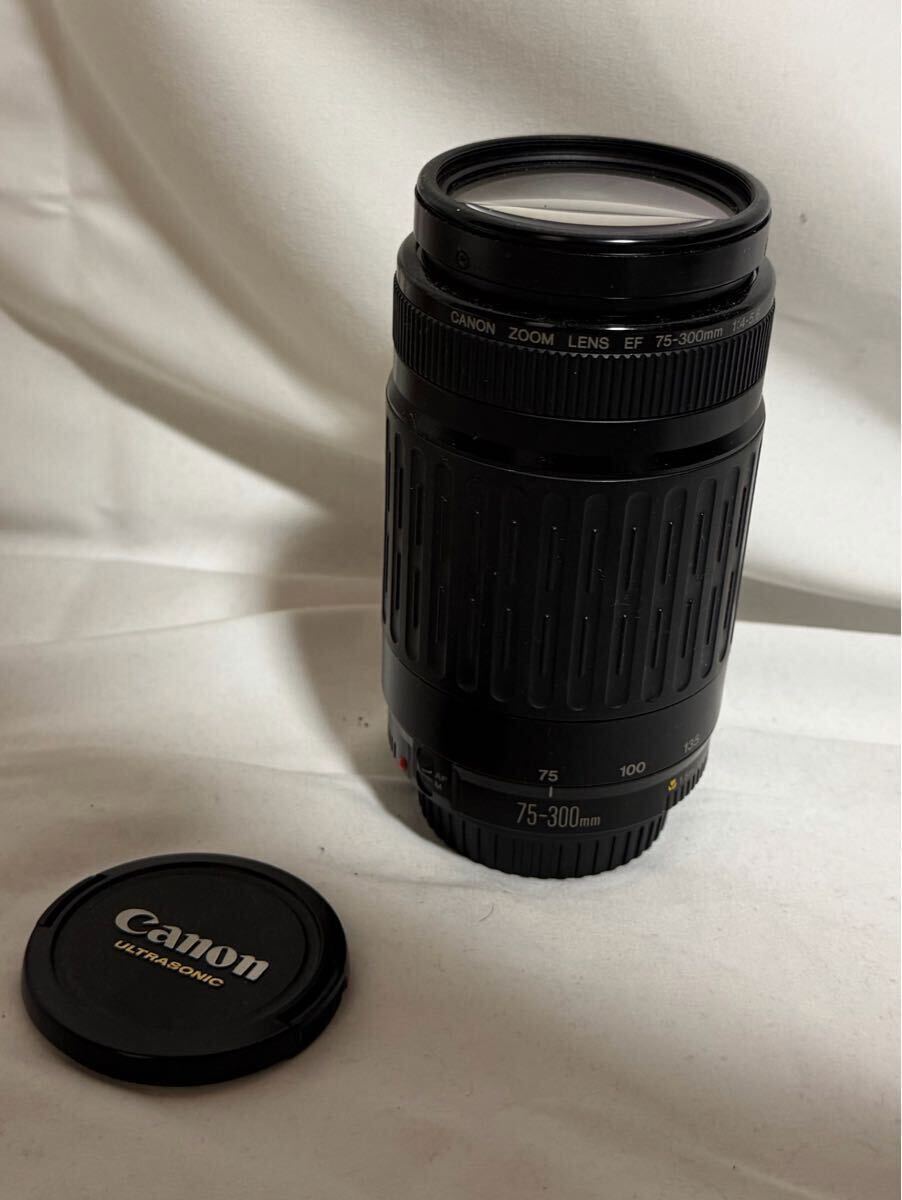Canon 望遠ズームレンズ 75-300mm