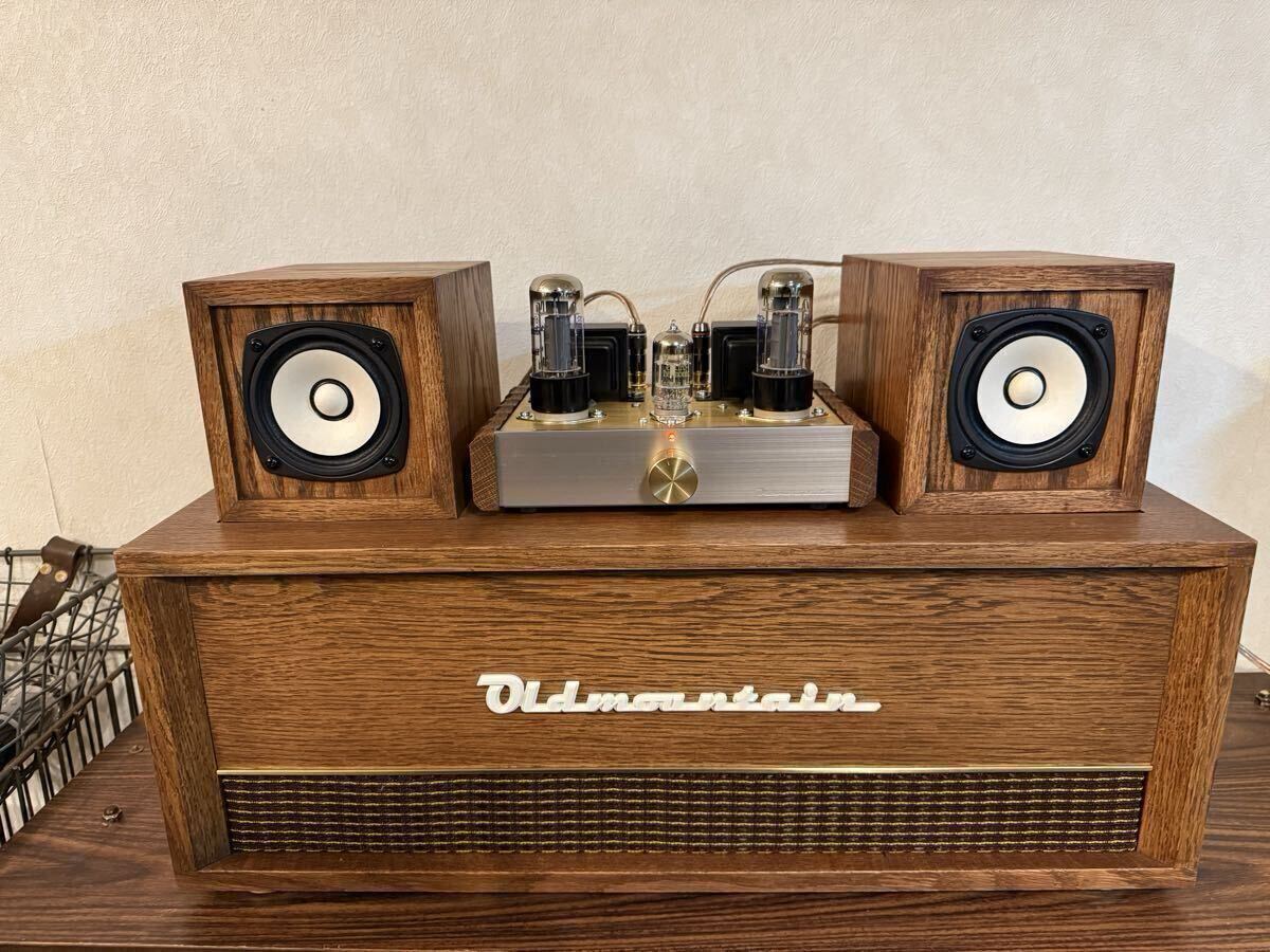 OLD MOUNTAIN SHINKU-KAN Brown 12V6V6 真空管アンプ 買取実績