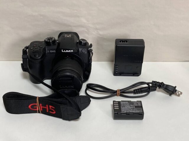 Panasonic LUMIX DC-GH5 標準ズームレンズキット