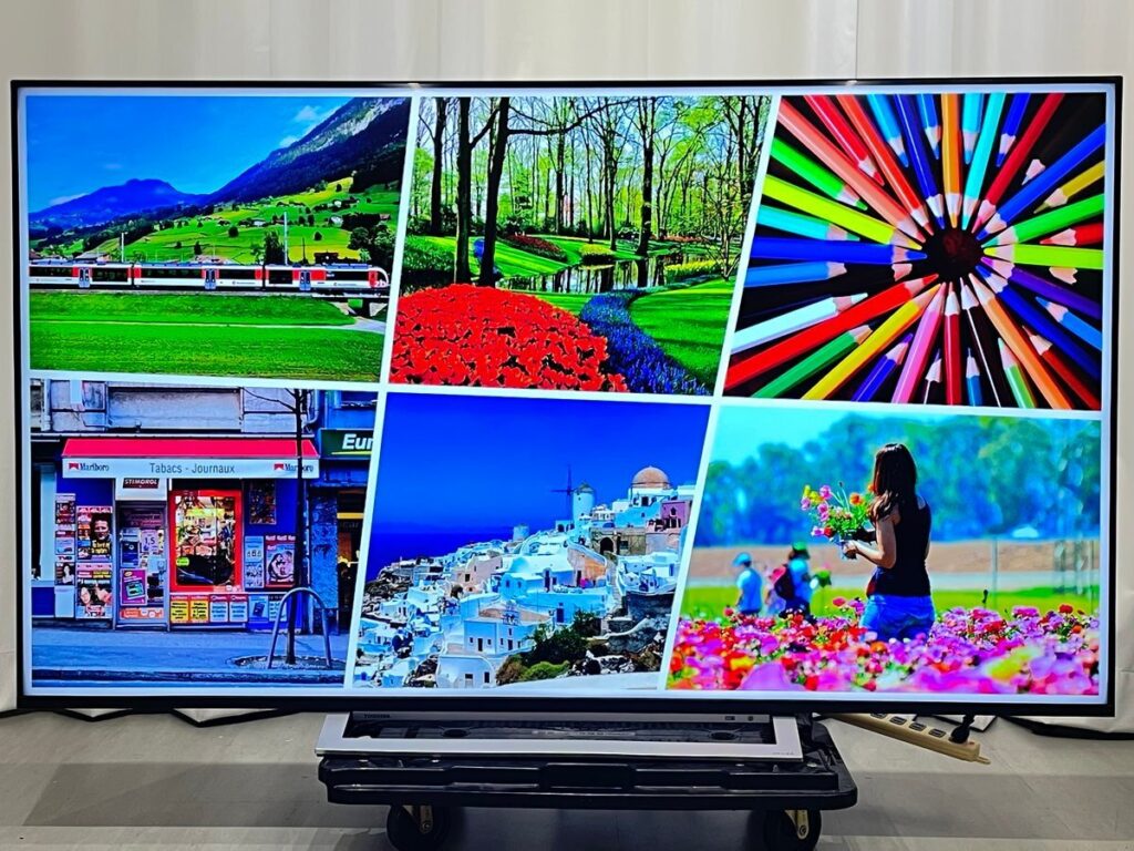 65インチ液晶4Kテレビ REGZA