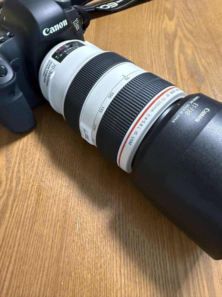 Canon EF70-300mm F4-5.6L IS USM
