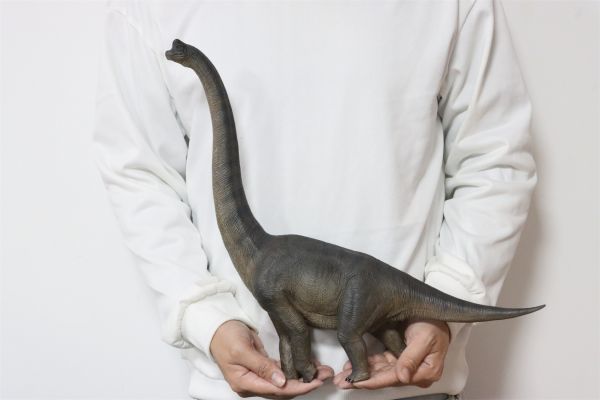 Nanmu ブラキオサウルス 恐竜フィギュア 53cm 完成品