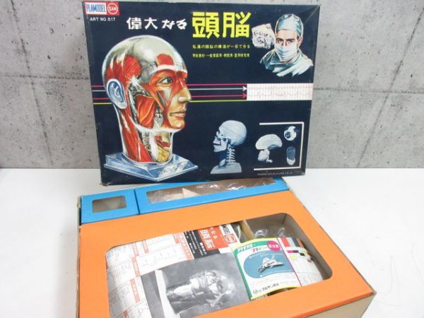マルサン 偉大なる頭脳 人体模型 プラモデル NO.517